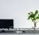 Houseplants Might Be Behind Your Sluggish Wi-Fi